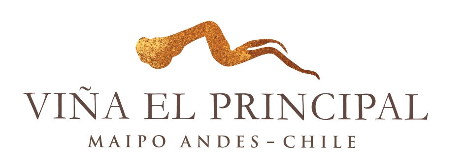 Vina El Principal